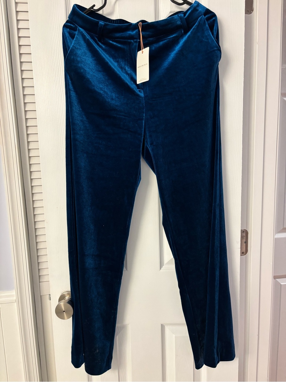 Deep Teal Velvet Wide-Leg Pants NWT